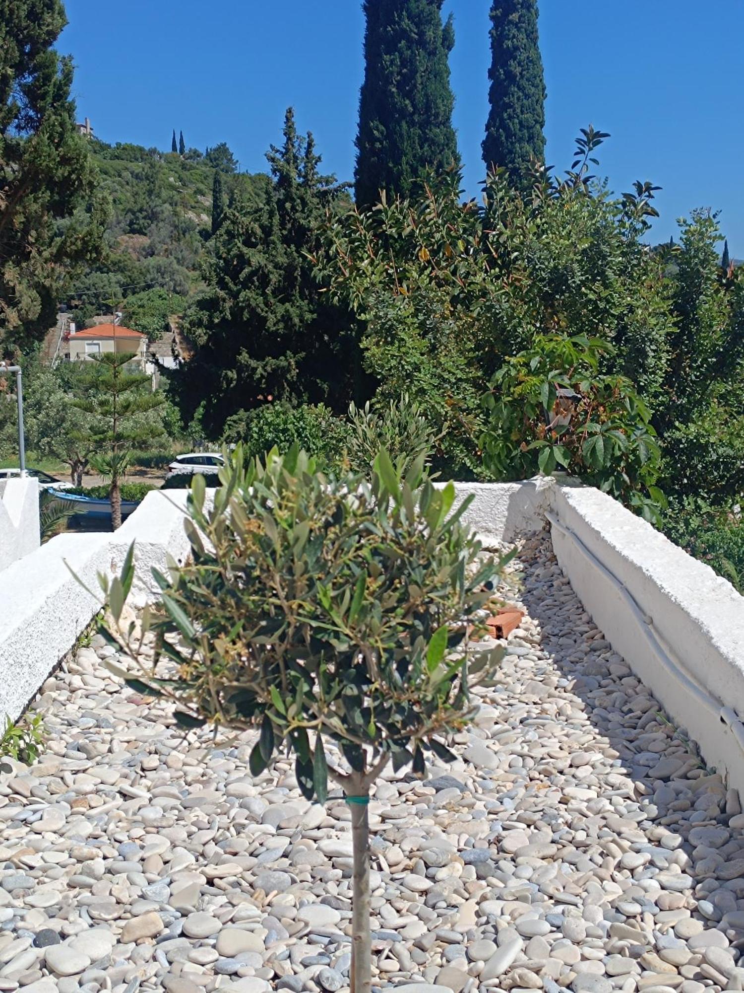 Athina Studio Apartments Kérveli Kültér fotó